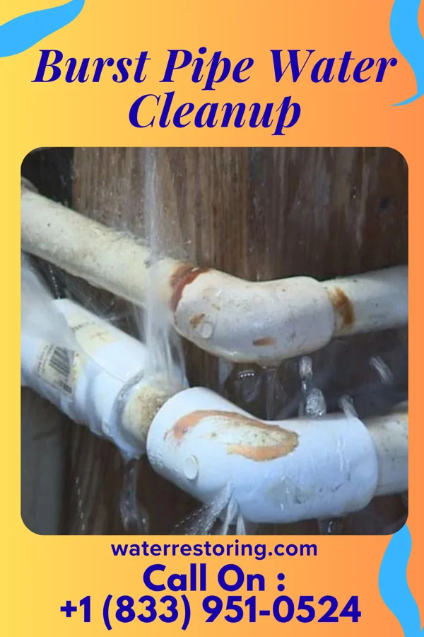 Burst Pipe Water Cleanup in Brookside, OH