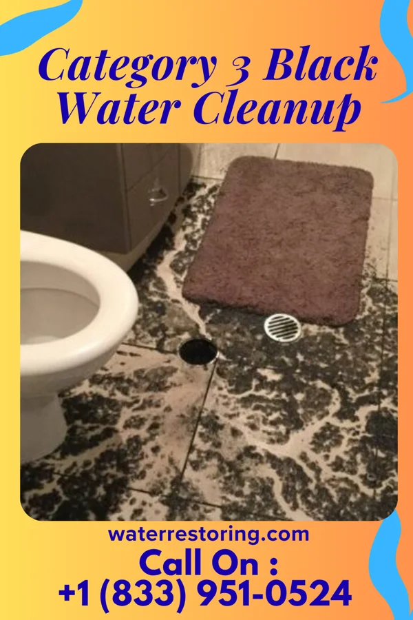 Category 3 Black Water Cleanup in Brookside, OH