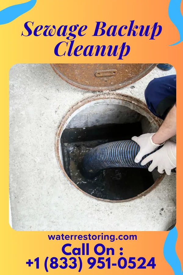 Sewage Backup Cleanup in Brookside, OH